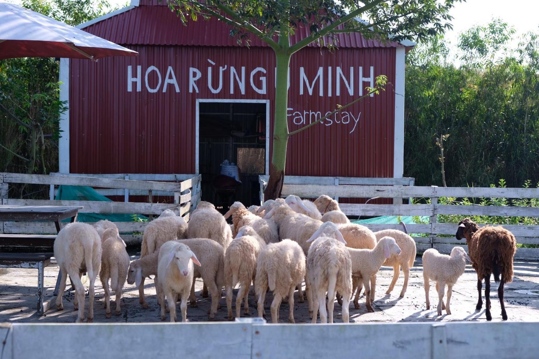 Bungalow - Farmstay Hoa Rung U Minh Cà Mau Kültér fotó