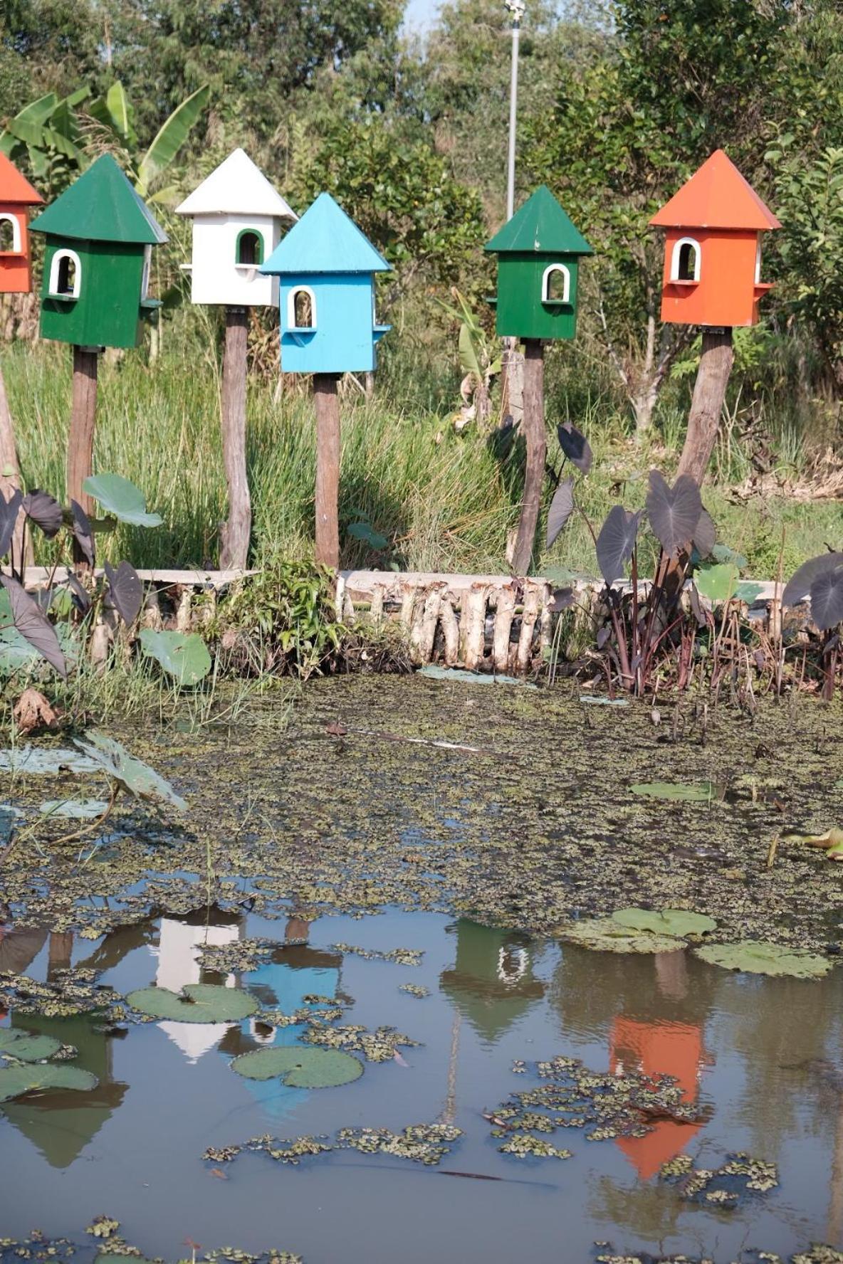 Bungalow - Farmstay Hoa Rung U Minh Cà Mau Kültér fotó