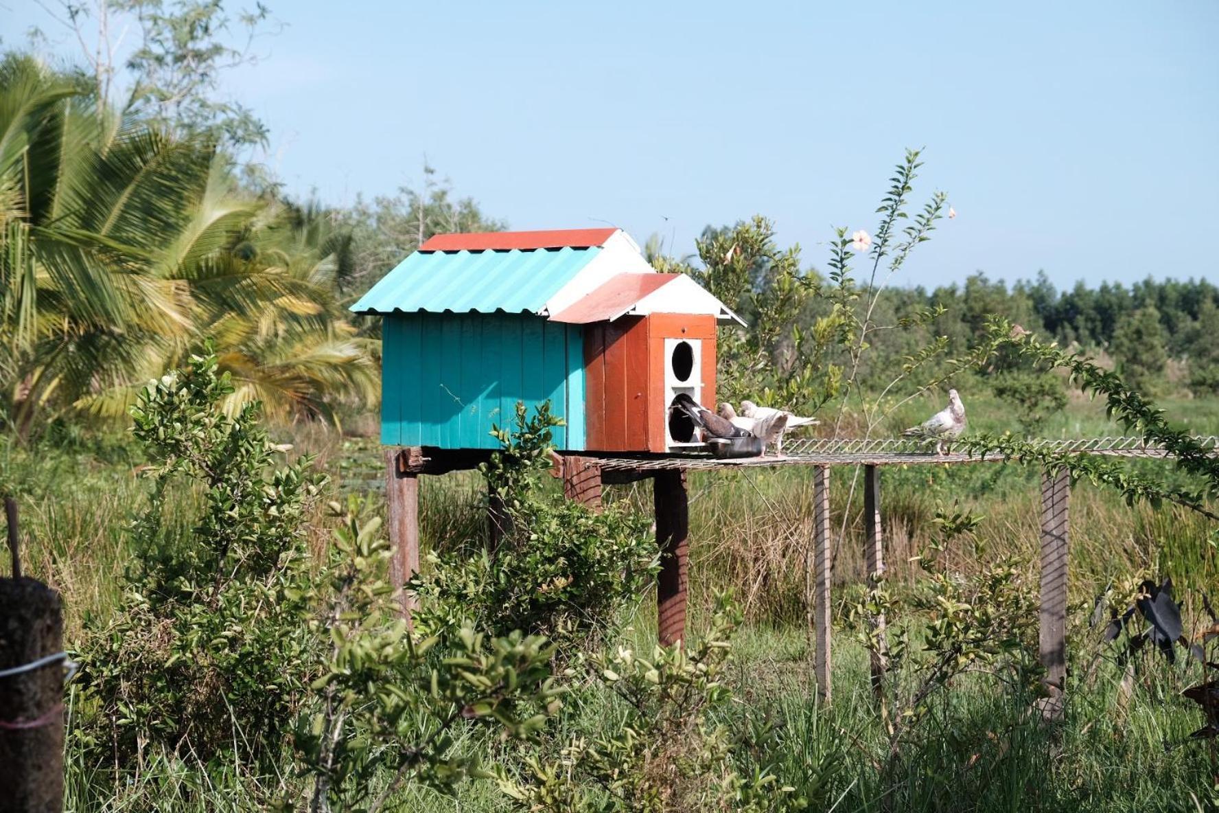 Bungalow - Farmstay Hoa Rung U Minh Cà Mau Kültér fotó